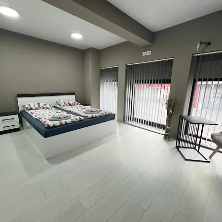 Nj Modigliani Style *